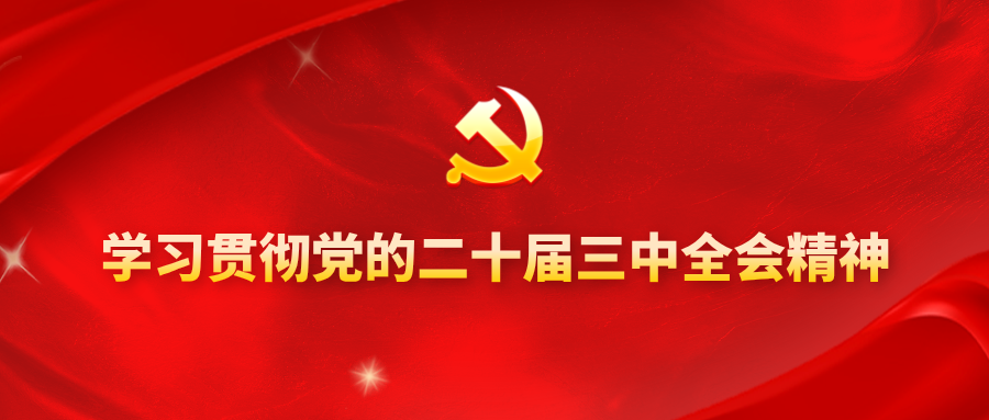 二十届三中全会学习资料